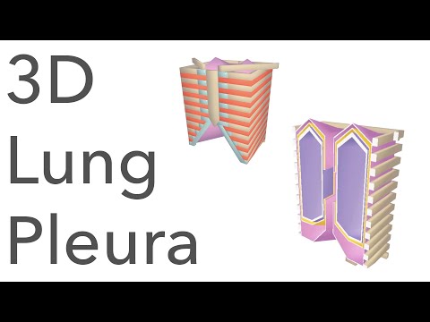 3D Tour of the Lung Pleura