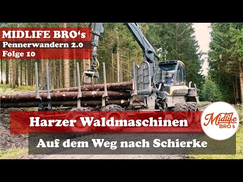 Der Weg nach Schierke. Natur Tiere und Harzer Forstwirtschaft ein kurzer Wanderweg mit Eindruck