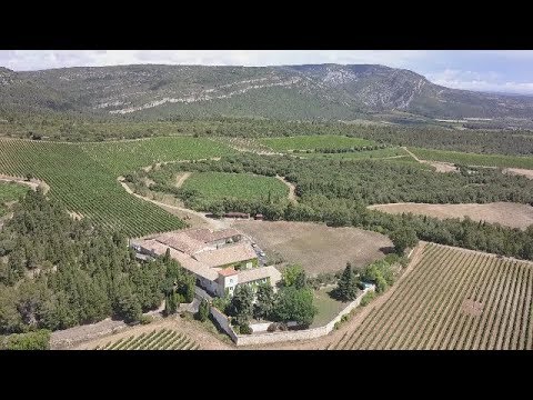 At Les Auzines, Wine Estate by Laurent Miquel in Languedoc, France
