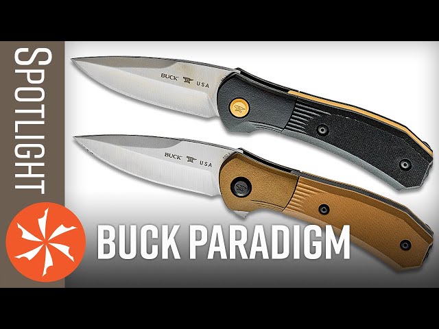 مطوى BUCK 0590BRS-B Paradigm Linerlock A/O Brown