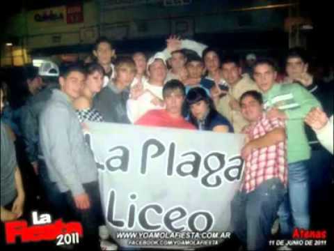 La Plaga De Liceo