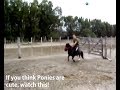 The Painful Pony Ride