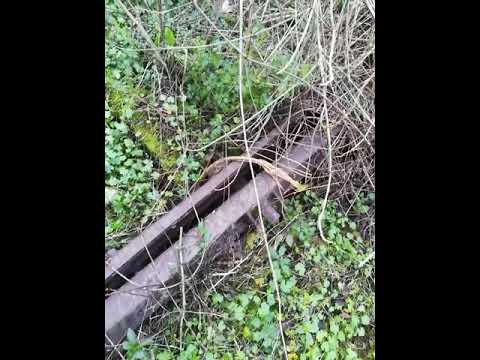 Movimentazione deviatoio (scambio) sulla storica tratta ferroviaria Paola Cosenza