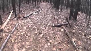 Take a ride on Pig Horse trail from Pot Belly Pig logging road to Spotted Horse logging road.