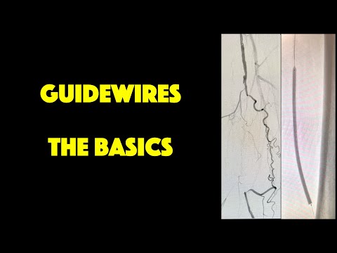 Terumo guide wire