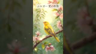 Download lagu エルガー『愛の挨拶』 そよ風に舞う小鳥たち #クラシック音楽 #クラシック  #ピアノ #リラックスピアノ #piano mp3
