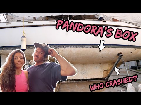 WE'VE GOT HOLES IN OUR BOAT  Ep 353