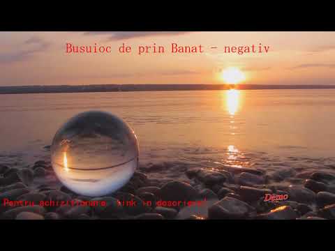 Busuioc de prin banat - negativ