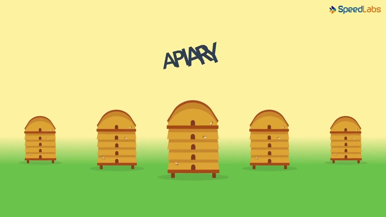 Class-9-Science-Ch-15-Improvement In Food Resources-Topic- Bee Keeping
