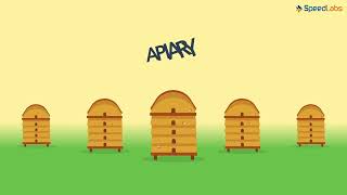 Class-9-Science-Ch-15-Improvement In Food Resources-Topic- Bee Keeping