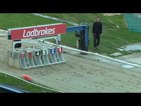 Sporting Dave - Ladbrokes Kent Derby - HT 1