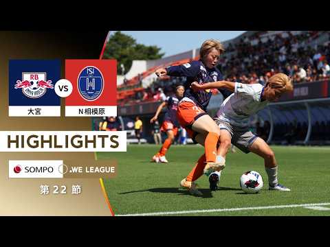 bg-highlight