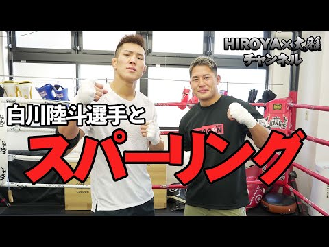 【瞬き厳禁】白川陸斗 × 大雅 3分1Rマススパーリングで拳を交えてみた【RIZIN】
