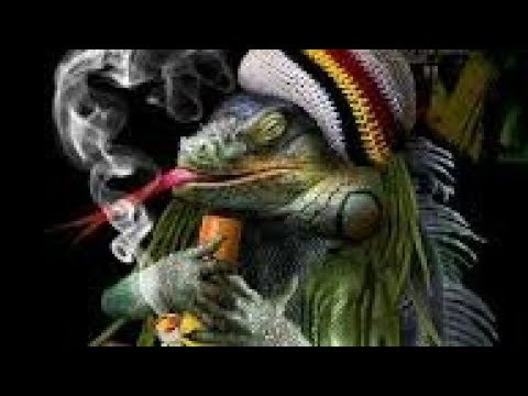 Maine Stoner Radio Late Night Xmas Sesh N Sub Feast