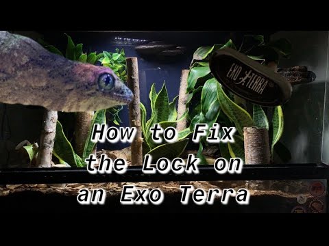 How to Fix the Lock on an Exo Terra Terrarium!