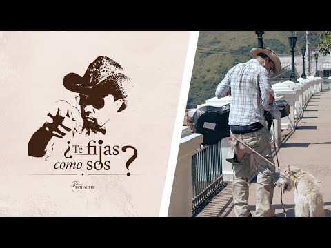 Polache – ¿Te fijás cómo sos? (Official Video)