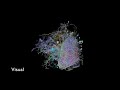 Fly Hemibrain Overview
