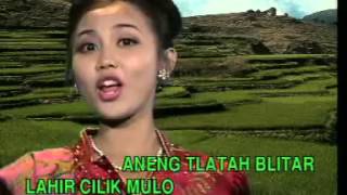 Download lagu Cici Shahita   Blitar mp3