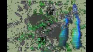 Animal Collective - Crimson