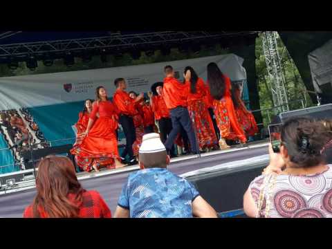 Dansatori din Petelea