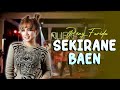 Reny Farida Sekirane Baen Aura Musik Banyuwangi Vol 01