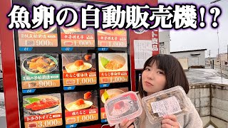 青森に魚卵の自動販売機が爆誕したらしいので行ってみた！