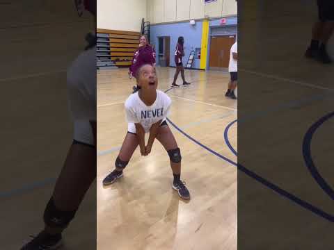 the 2022-2023 varsity volleyball team 😍🫶 #volleyball #whitelies