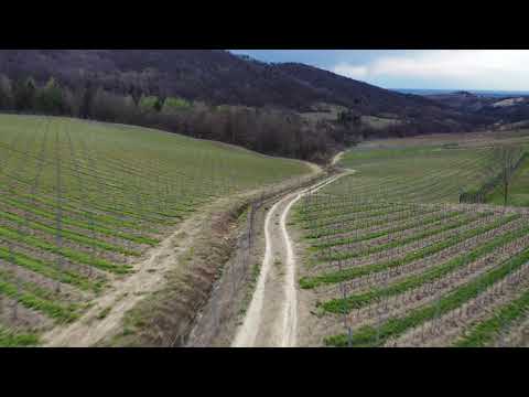 LOCALITÀ AVE a Bossolasco - VIGNETI CONTRATTO