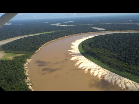 Pescaria com minha família no Rio juruá Amazonas!!!!!!!!!!!