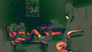 mr gallo - cat power - fan made visuals