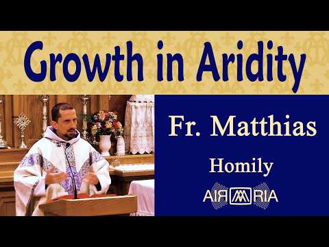 Embracing God's Presence in Spiritual Darkness - Feb 09 - Homily - Fr Matthias