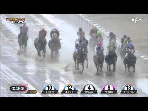 Selangor Turf Club Trophy - Holy Moely