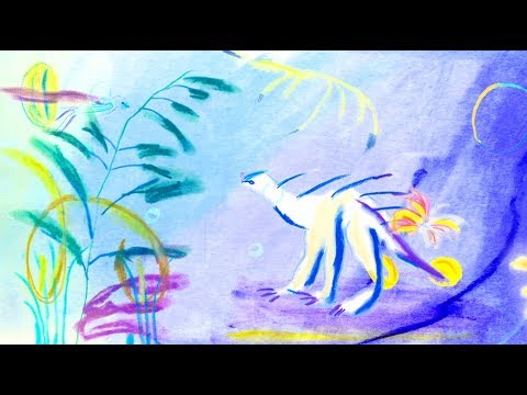 장명선 (Jangmyungsun) - 이 다음에는 (And then) Official MV