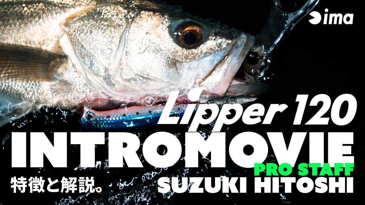 Вiдео Воблер IMA LIPPER 120