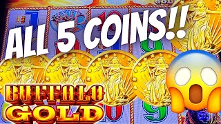 ALL 5 COINS ON BUFFALO GOLD! 🦬 WAS IT A CURSE?! Slot Machine (ARISTOCRAT GAMING)
