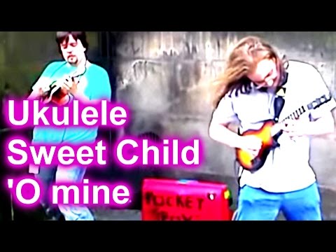 PocketFox Reunion - Sweet Child O' Mine