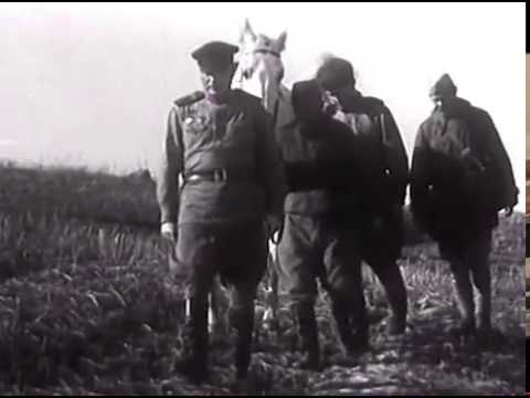 Владимир Трошин из ф Годен к нестроевой 1968