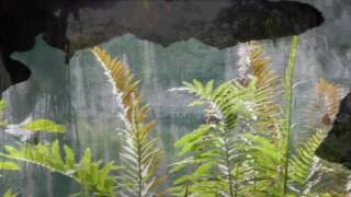 DOMINIKANA (5 ) * OMAR AKRAM - OPEN SKIES