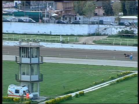 Trotto 17/04/2016 - Corsa Pony