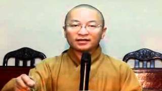 143.Vấn đáp: An Cư Và Đản Sinh (21/07/2009) video do Thích Nhật Từ giảng - Thích Nhật Từ