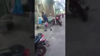 Download lagu Ikan Louhan Terindah(muara bandung(PUP) mp3 Download lagu Ikan Louhan Terindah(muara bandung(PUP) mp3