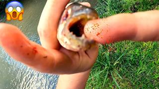 PESCARIA DE DEL LAGO 😱