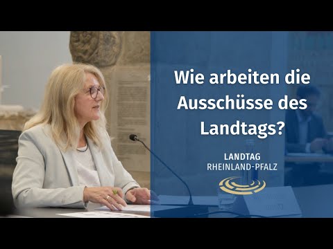 Wie arbeiten die Ausschüsse des Landtags Rheinland-Pfalz?