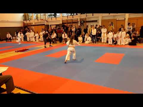 2. Tigrisek Karate Kupa Sopron, 2017. november 26.