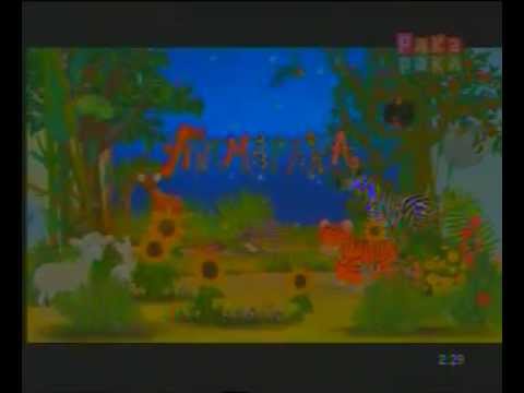 "Animapaka" "La araña" 7 8 3024