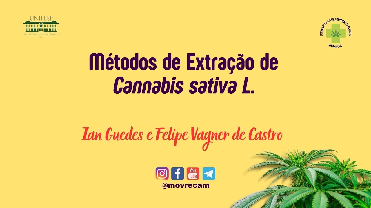 26ª aula - Métodos de Extração de Cannabis sativa L. - Ian Guedes e Felipe de Castro