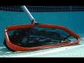 ProTuff 19" Swimming Pool Leaf Rake with 100% Lifetime Guarantee