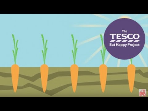 download lagu mp3 mp4 How Do Carrots Grow, download lagu How Do Carrots Grow gratis, unduh video klip How Do Carrots Grow