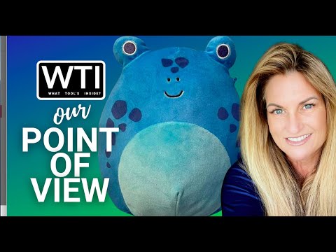 Squishmallows Alandy Frog Toy - WTI product video review