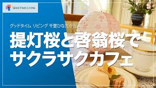老人ホームの館内でお花見🌸サクラカフェ2026